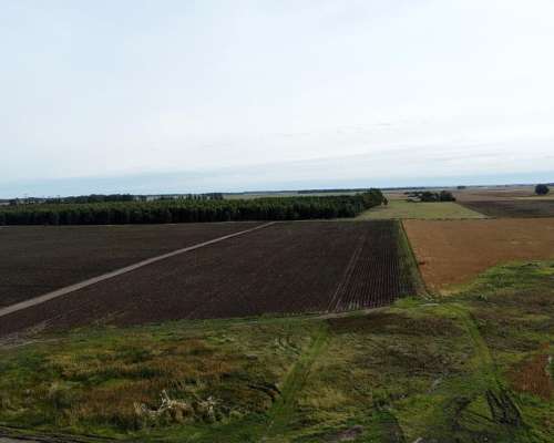 107 Has o 77 y 1/2 en Miramar - de Lujo -