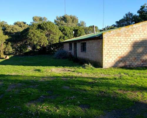 Campo en Venta en Partido de Carmen de Patagones