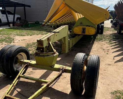 Maicero Allochis de 14 a 52