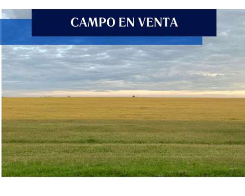 87 Has, Morse BS. AS.