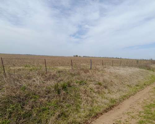Vendo Campo Agricola Zona Villa Valeria-buena Esperanza
