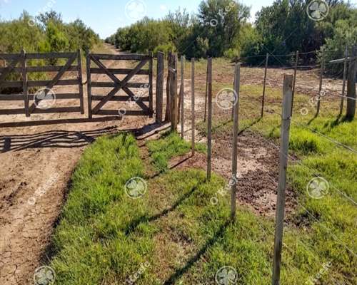 Campo en Venta de 3945 Has San Luis. Mixto