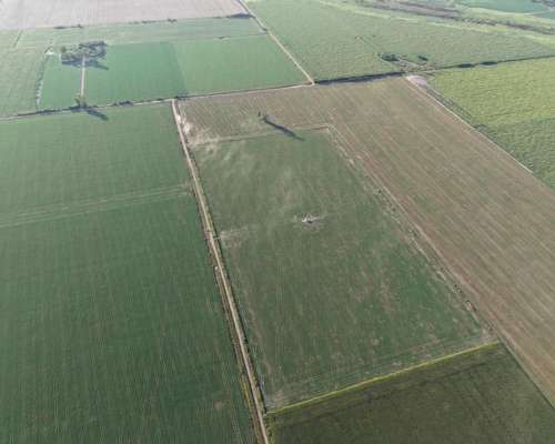 80 HA. Agricolas. Centeno. Santa FE.