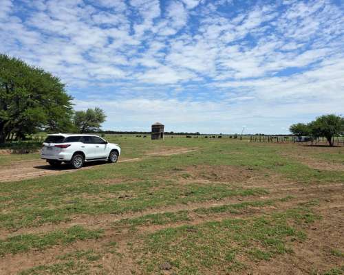 Vendo 500 Ha Mixtas Villa Mercedes