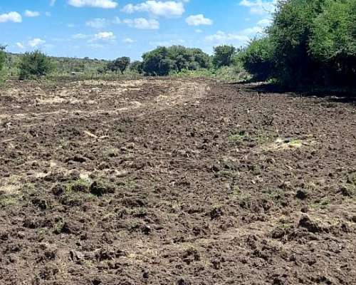 Zona Villa de Soto Campo Ganadero