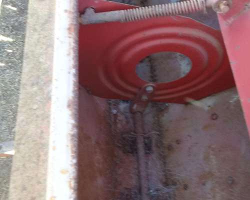 Giorgi de 24 con Alfalfero