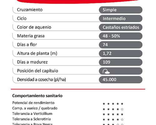 Semilla de Girasol LG58703 CL - Limagrain