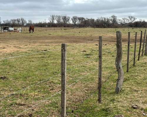 Lote Quinta Oportunidad Villa Maza (adolfo Alsina) Ruta 14