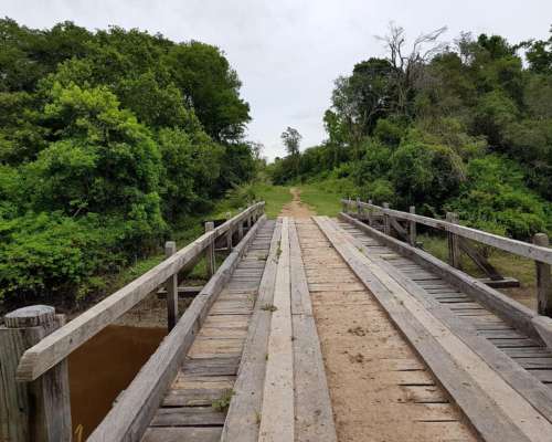 Formosa -1600 Has.- Excepcional -
