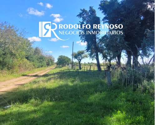 7 HA. en Gualeguaychú - Sobre Ruta 20