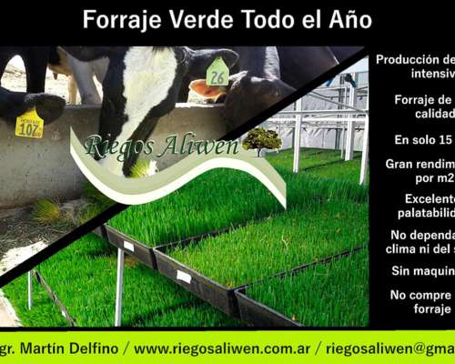 Forraje Verde Hidroponico (fvh)