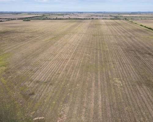 150 Hectáreas Agrícolas en Gualeguaychú.