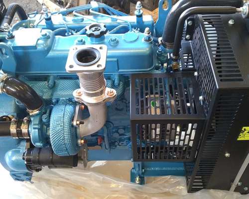 Motores para Generadores y Bombas de Riego