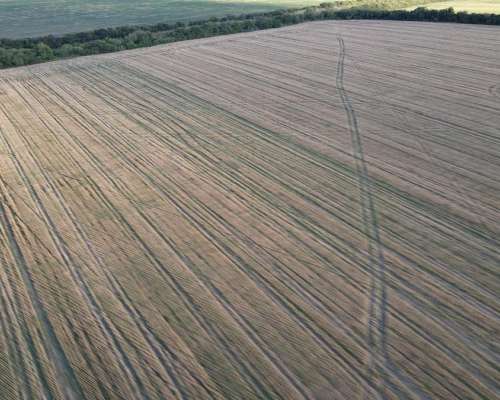 250 Hectáreas de Campo Agrícola en Gualeguaychú, Sobre Ripio