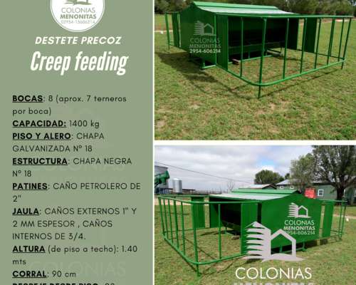 Creep Feeding para Destete Precoz- Colonias Menonitas
