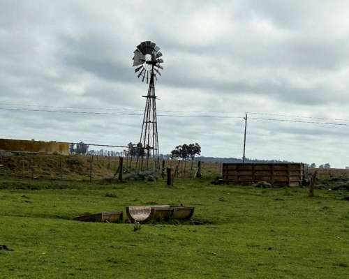 300 Hectáreas Ganaderas, Próximas a Maipu.