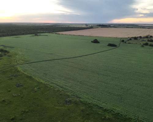 Establecimiento Mixto Centro de Entre Rios