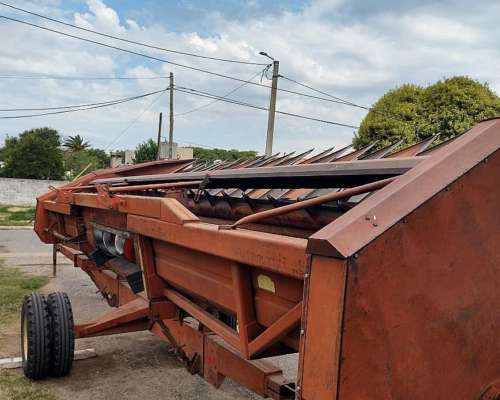 Girasolero Mainero 1035 de 10 a 70 con Bandeja a 35