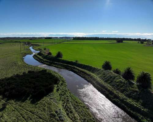 Tres Arroyos, Buenos Aires - 120 Ha
