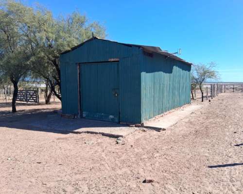 Campo Ganadero Pampas Blancas, en la Rioja, 11500 Has