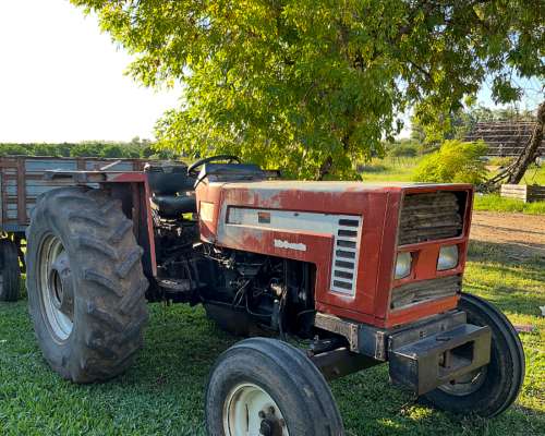 Tractor Fiat 70-56 (70 HP) - 4X2 - Excelente Estado