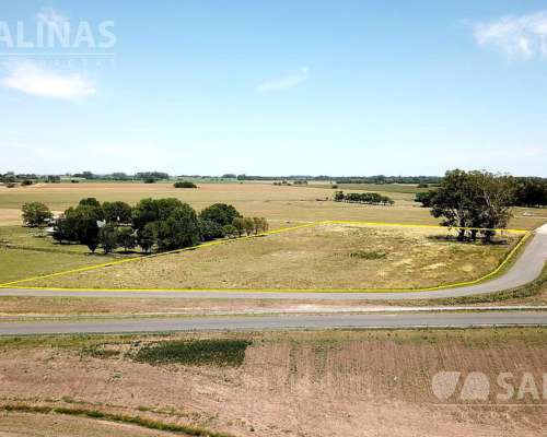 Terreno San Antonio de Areco, Interior Buenos Aires 27000m2