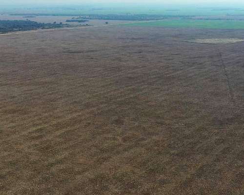 Venta Campo Agricola a Tranquera Cerrada (hacienda Bradford)