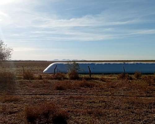 Alquilo Campo en San Luis Zona Juan Llerena