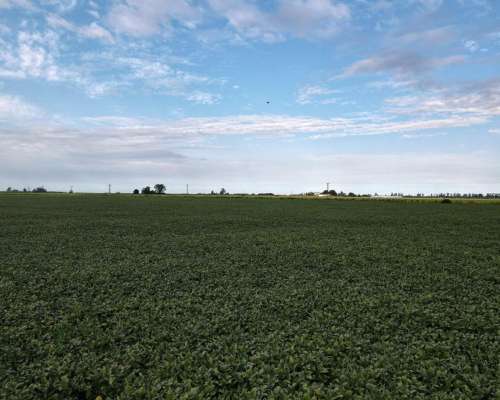 6 Ha Agricolas en Centeno. Suelo Clase 2. Ingreso por RN 34.