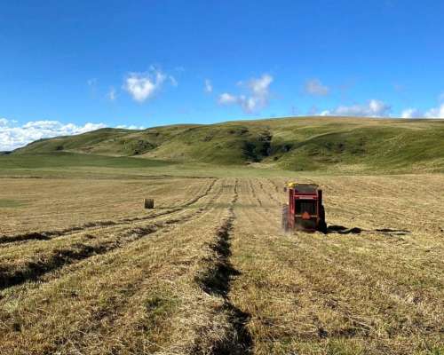 Pcia. de Catamarca - Singuil 5816 Has