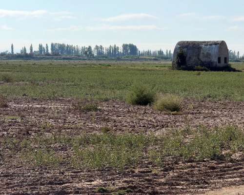 Finca en la Pega 25ha con Goteo