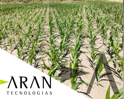 Tru Count Trimble Sistema de Corte Automático para Siembra