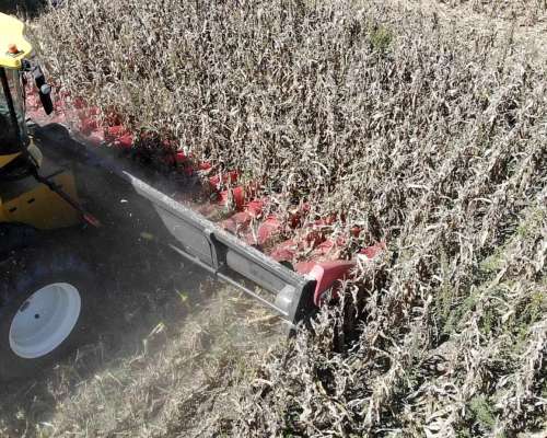 Cabezal Maicero cm 2020 de 18 Surc a 52 con Embocador, con