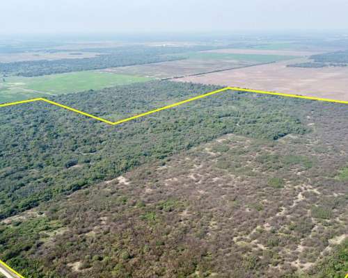87 Has en Venta - Pcia del Chaco, Villa Angela