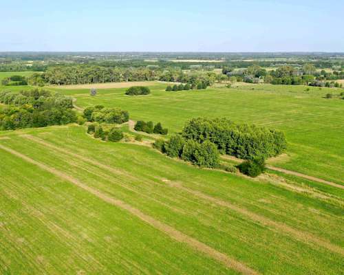 135 Has. Campo en Open Door, Luján