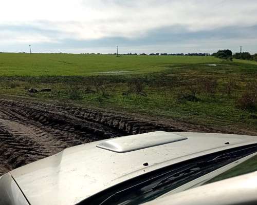 Campo Mixto de Gran Receptividad Excelente Ubicación