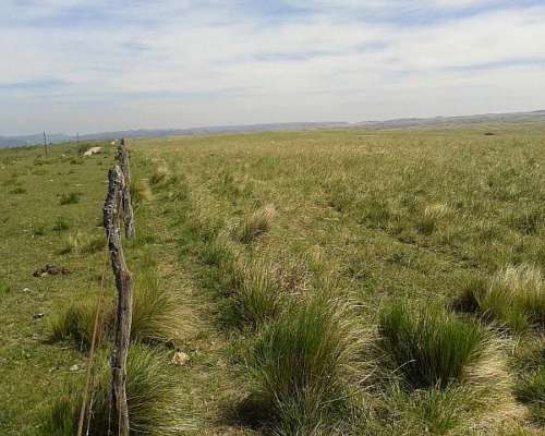 Campo Mixto en la Provincia de Catamarca