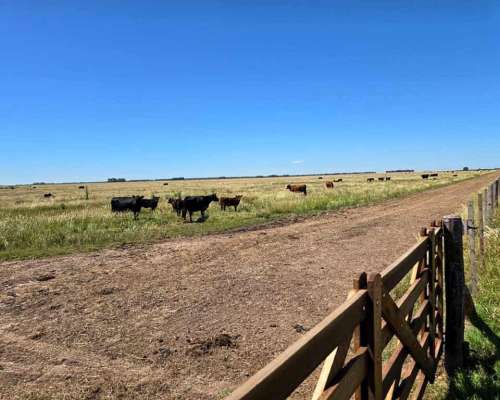 320 Has Mixtas Villegas Cañada Seca