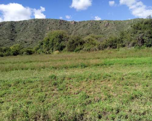 Venta Campo 78 Hcts. en San Luis, Sierras, Arroyo, Bosque