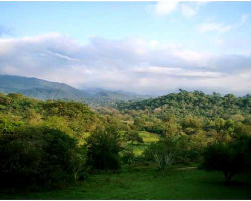 Anta , Salta, Argentina