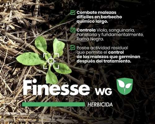 Vendo Herbicidas, Insecticidas, Funguicidas y Coadyuvantes