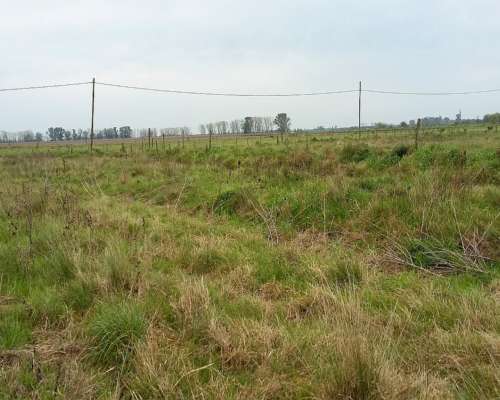 Campo en Venta en Zona Hortícola de la Plata