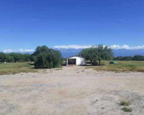 Campo Agricola Ganadero Ferlot en Catamarca