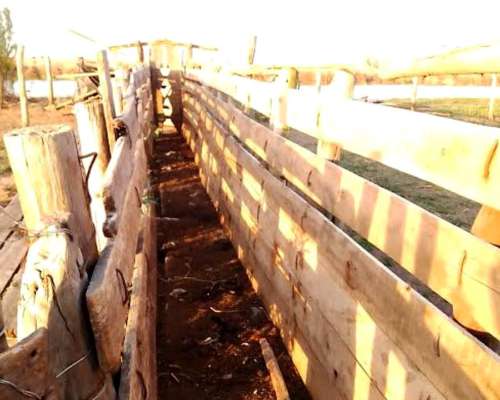 Tres Bocas, 5to y Sexto Gualeguay Compro Campo Agricol