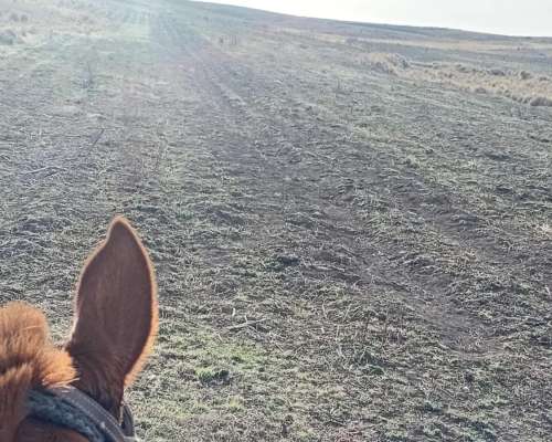 Vendo Campo en la Carolina,san Luis