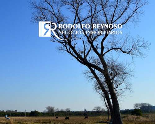 Venta Urgente Lote de 2.400 M2 Sobre Autovía 14