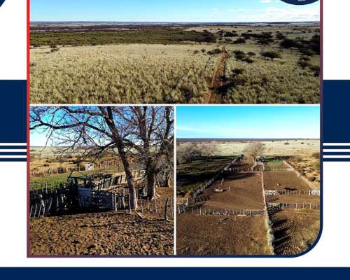 4.000 HA. Abramo, la Pampa