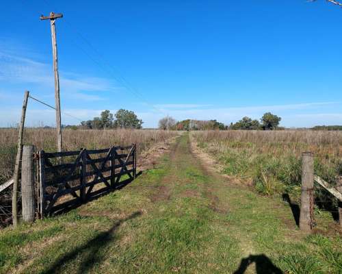 Chacrita con Casa Tradicional en Venta