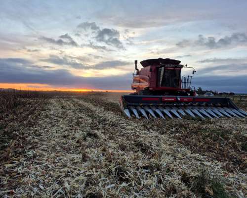 Servicio de Cosecha Case 6150 + Fieldview