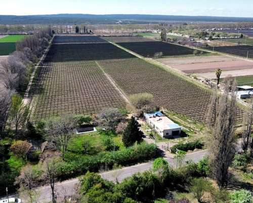 Venta de Finca en Agrelo, Lujan de Cuyo - Mendoza
